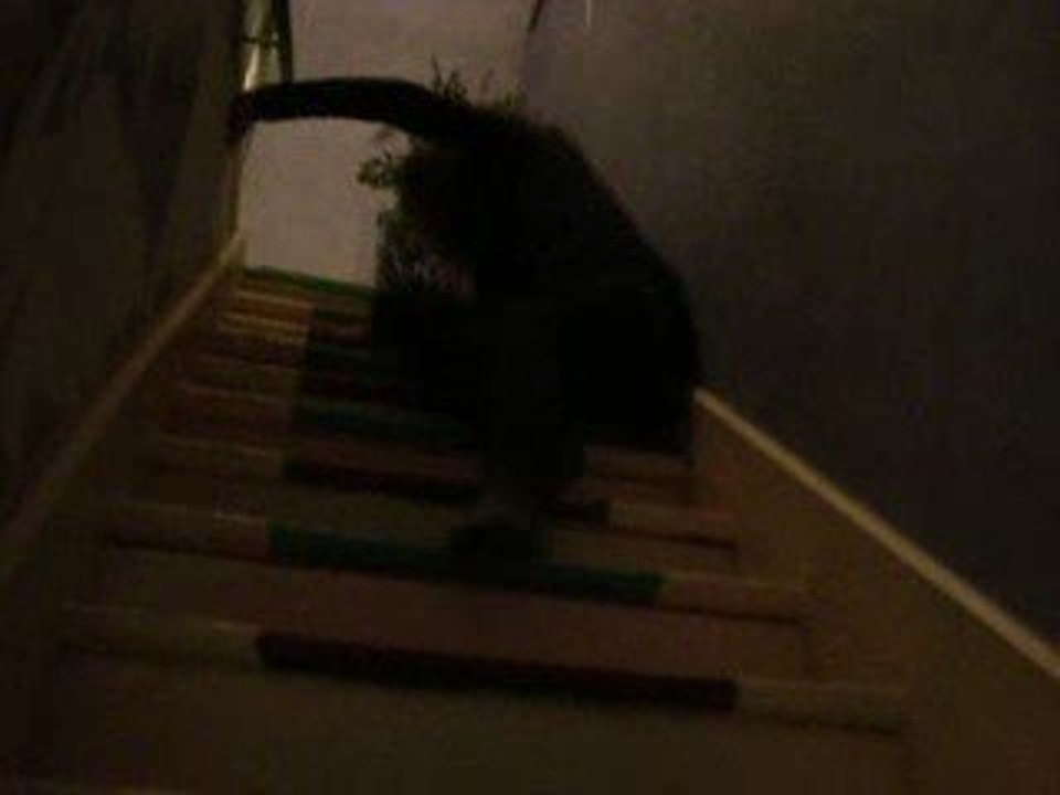 Lisa qui tombe dans les escaliers