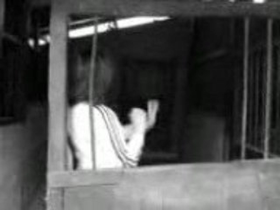 Miss Météo du Cranou : Paulette