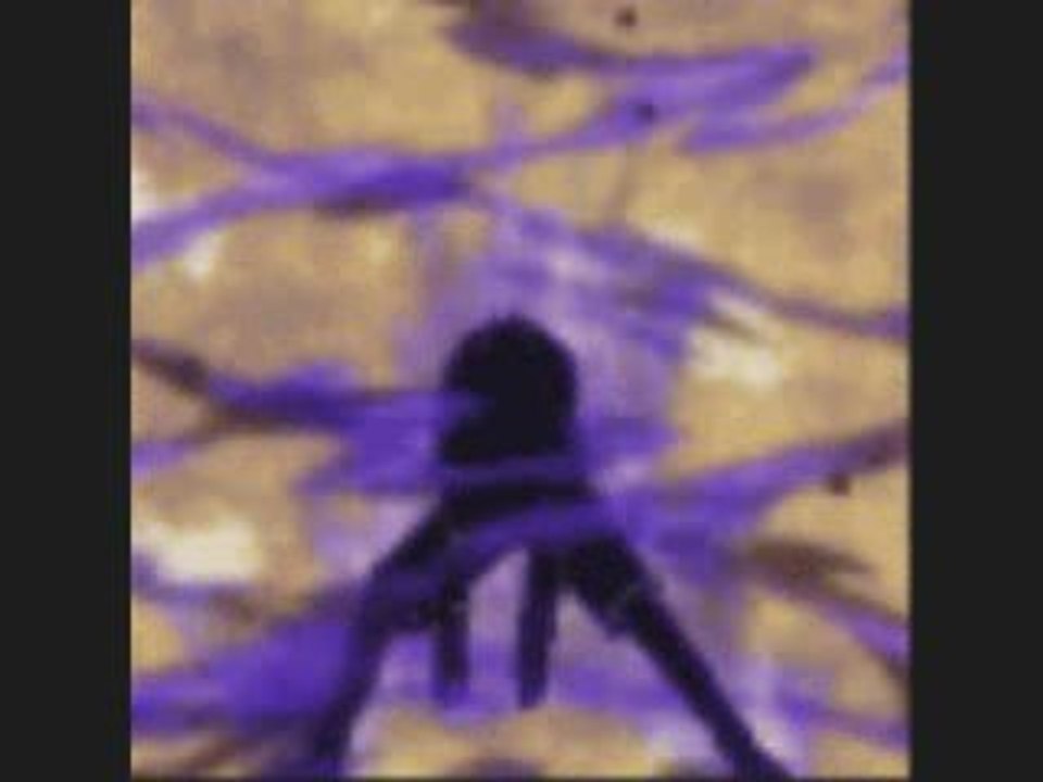 naruto et ses ami