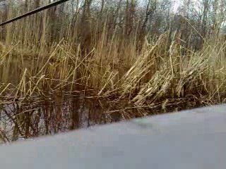Taebla речка