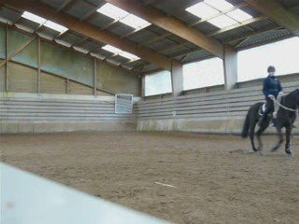 travail à pied, sur le plat et cirque