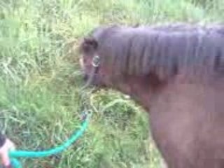 On rentre au Paddock