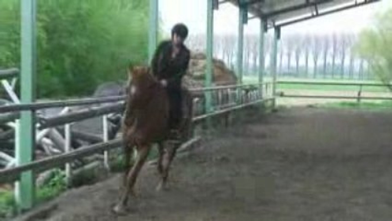 Super cheval pour Charley