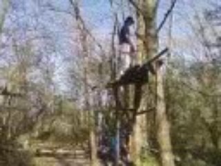 Salto arriere fred plateforme