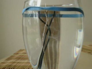 How to make Colloidal Silver with Silver wire & 12 volts