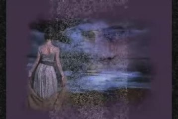 seven insanın hali budur