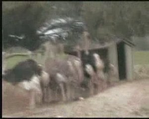 Sigean pt1
