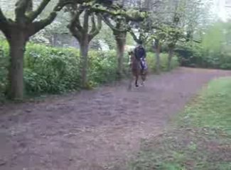 Bianca & haloween en saut