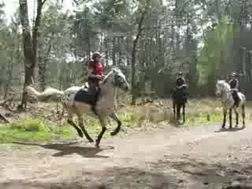Mystère et Moi en Cross