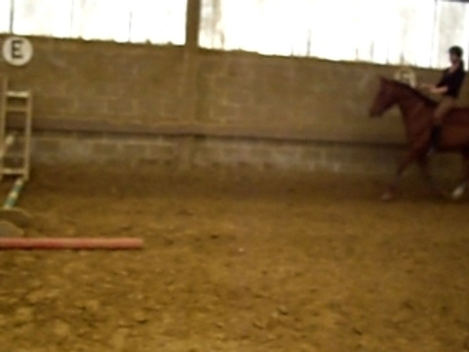 saut a crue