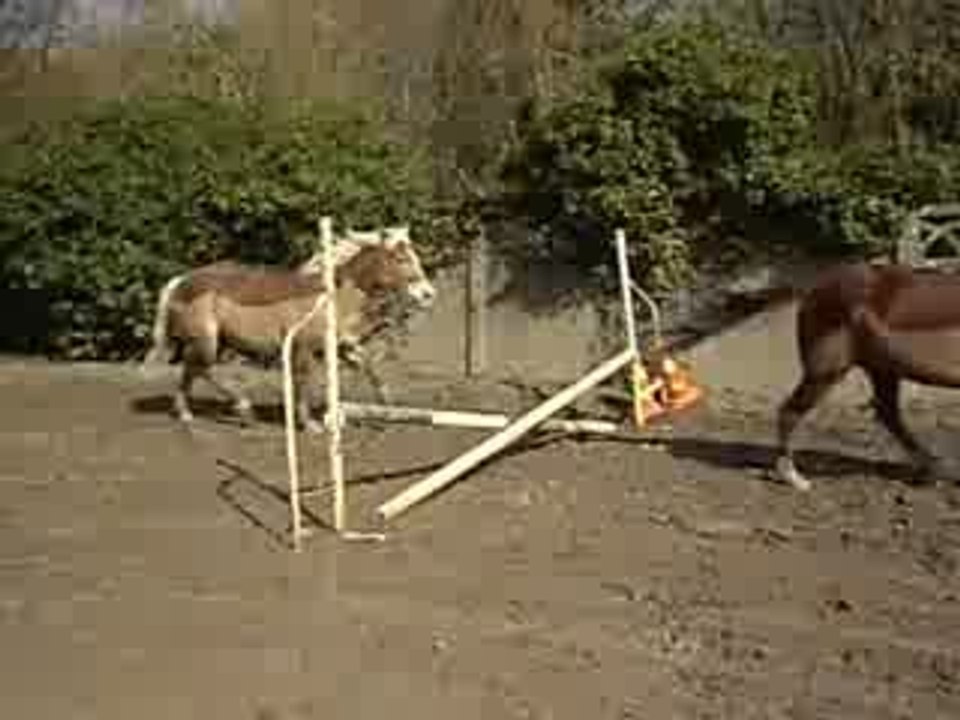 saut en liberté manon et jordy