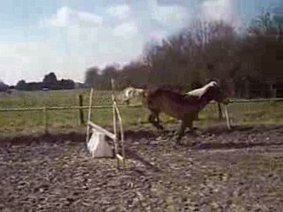 saut en liberté manon et jordy
