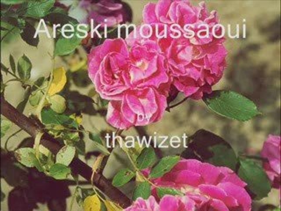 Arezski moussaoui