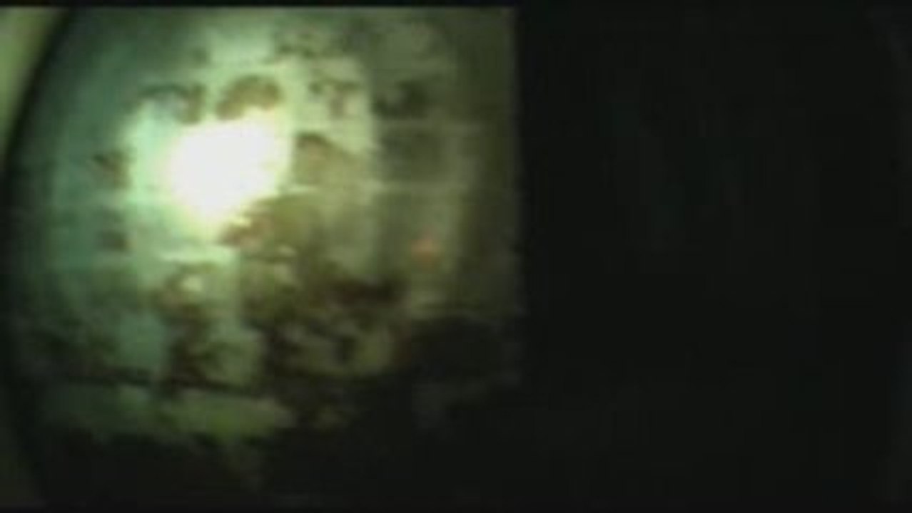 Take Only Photographs - Trailer