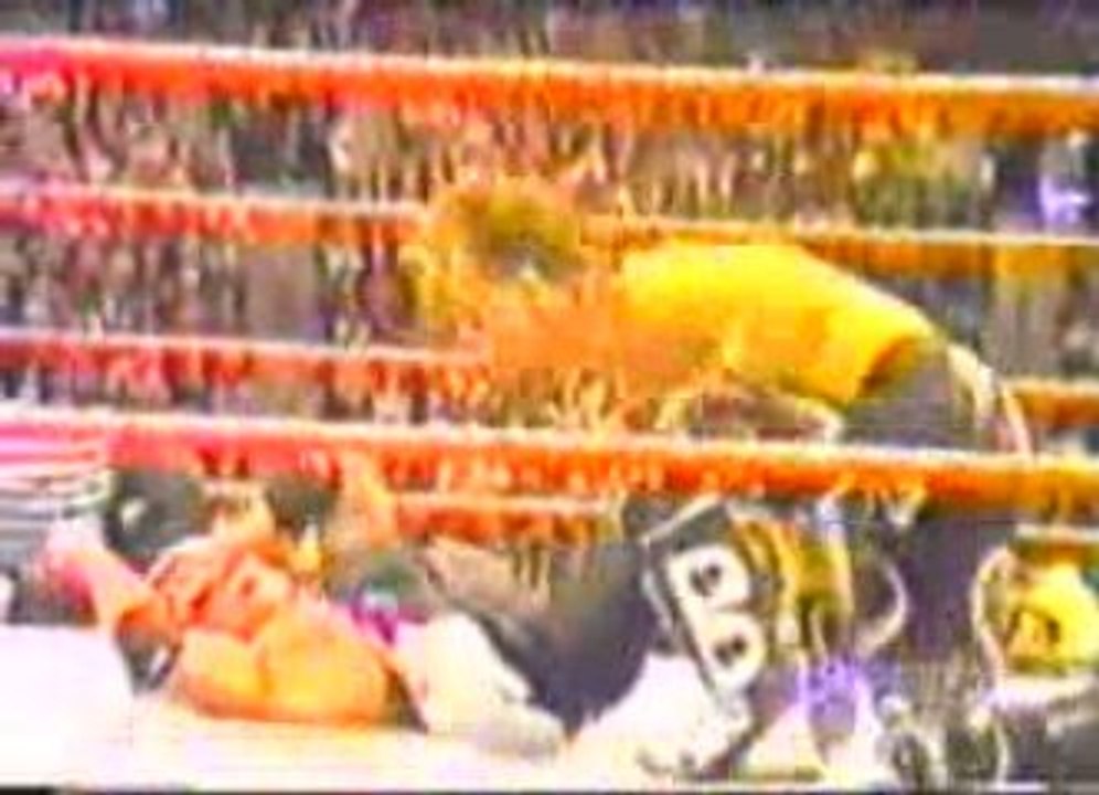 WWE - WWF : The Life And Death Of Owen Hart (VO) [3/4]