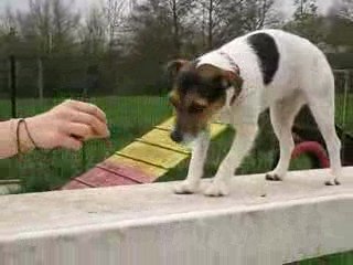 despé sur la passerelle