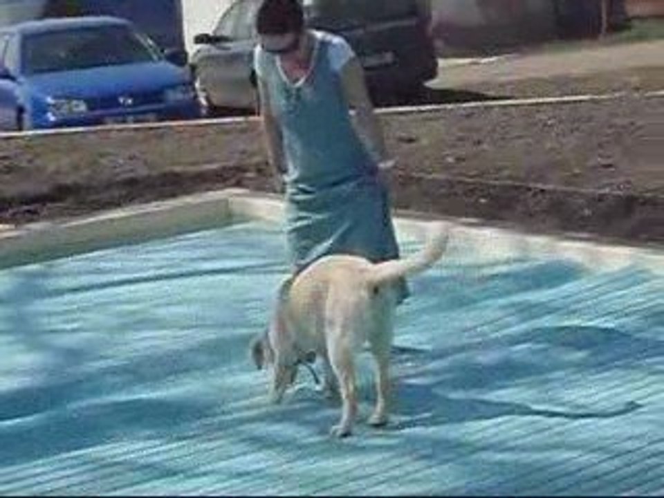 Examination poolcovers SAFEPOOL