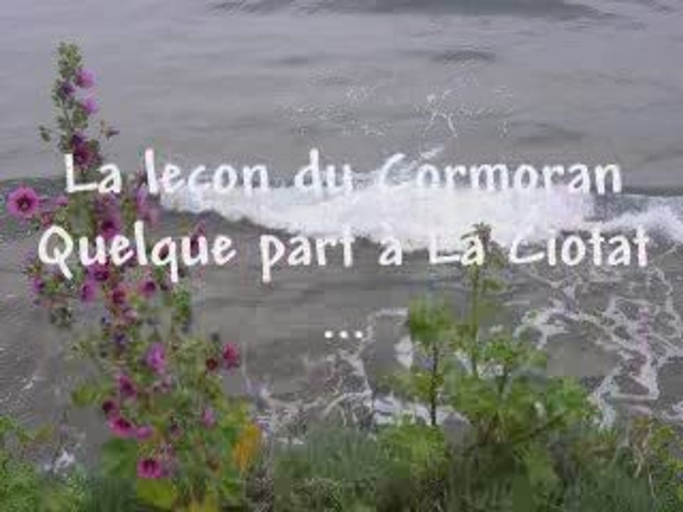 La leçon du Cormoran.
