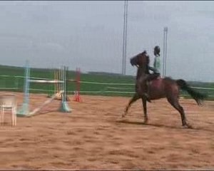 Charlotte et Mimie