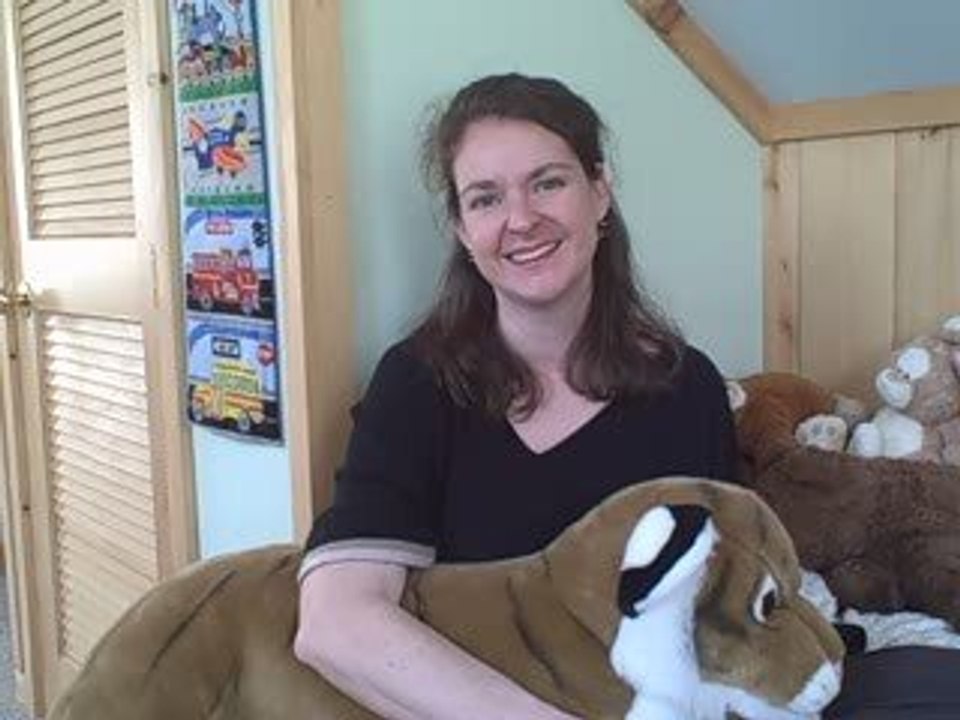 Why I Wrote  Transformational Mothering