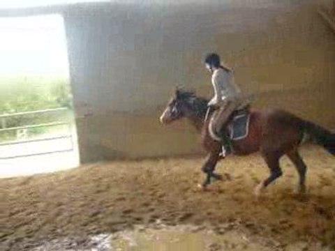 Parcours concours Stage