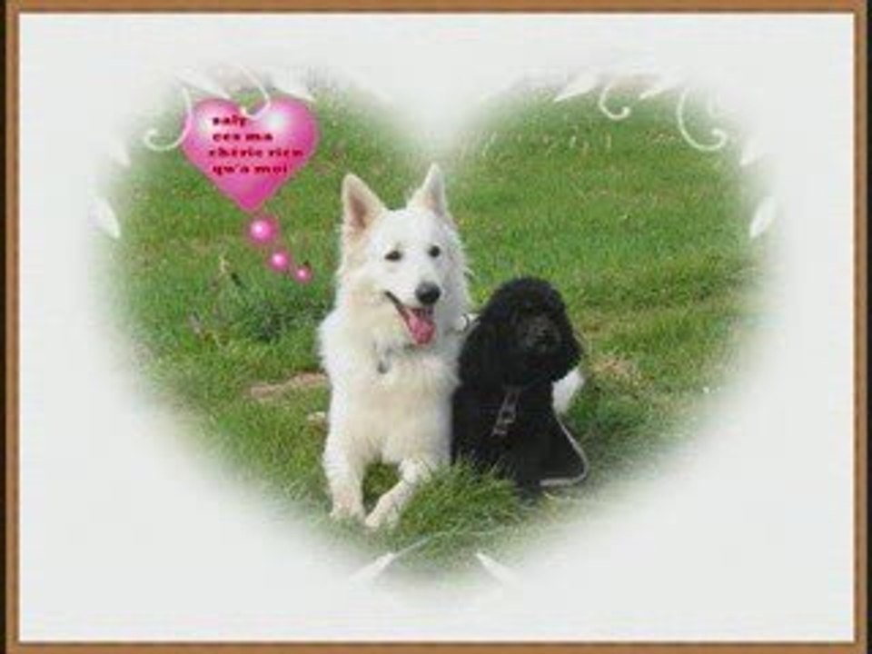 Saly et chucky
