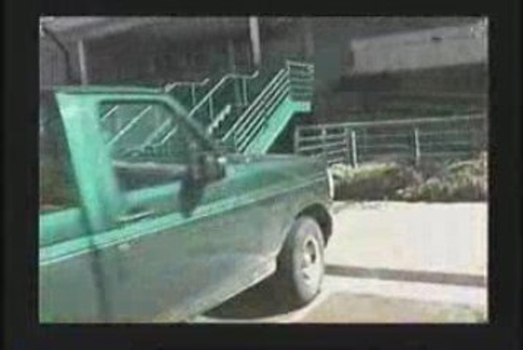 Task TV: When mushroom Todd was a real skater…