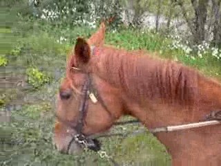 Une bonne petite ballade =)