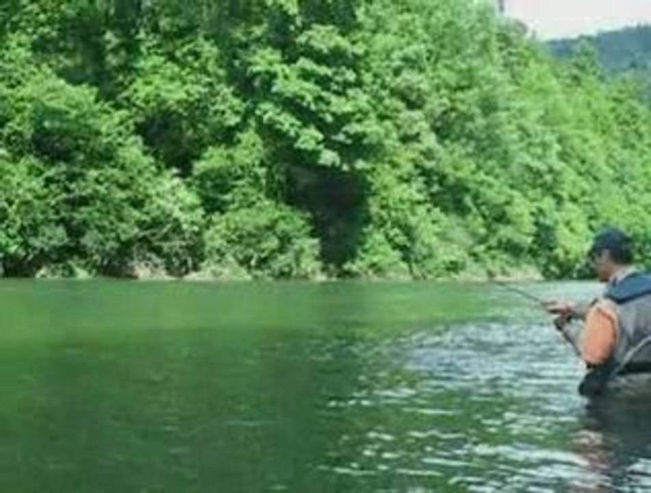 Pêche a la Mouche ~ Relâchez Vos Rêves