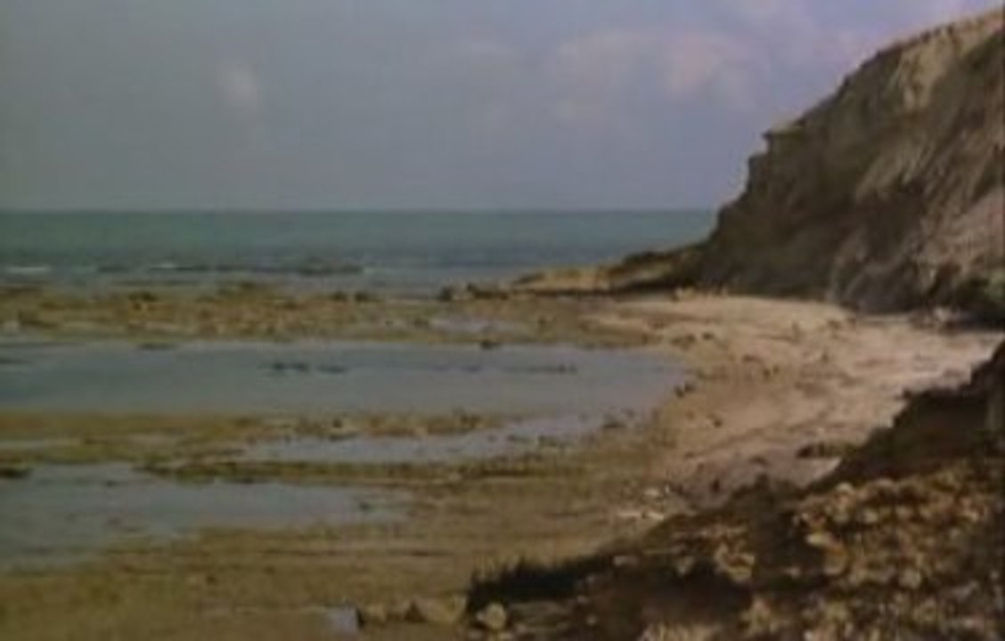 Le collier perdu de la colombe 5 (fin)