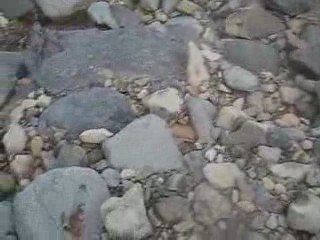 Askerden geldi, balık tutmaya gitti..