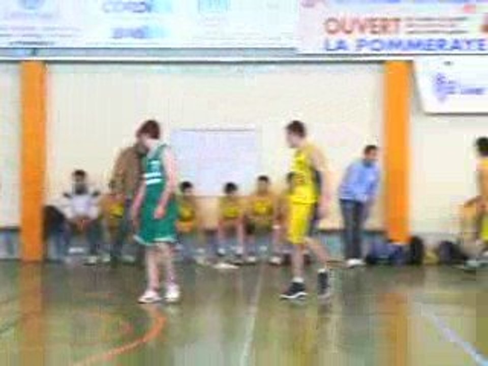 TIC ZONE Ouest LA POMMERAYE Mauges sur Loire - 12/04/2009 - Vidéo3