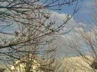 Xpresit.net - VLog - March 2009 - Shut Up Chuck Crow