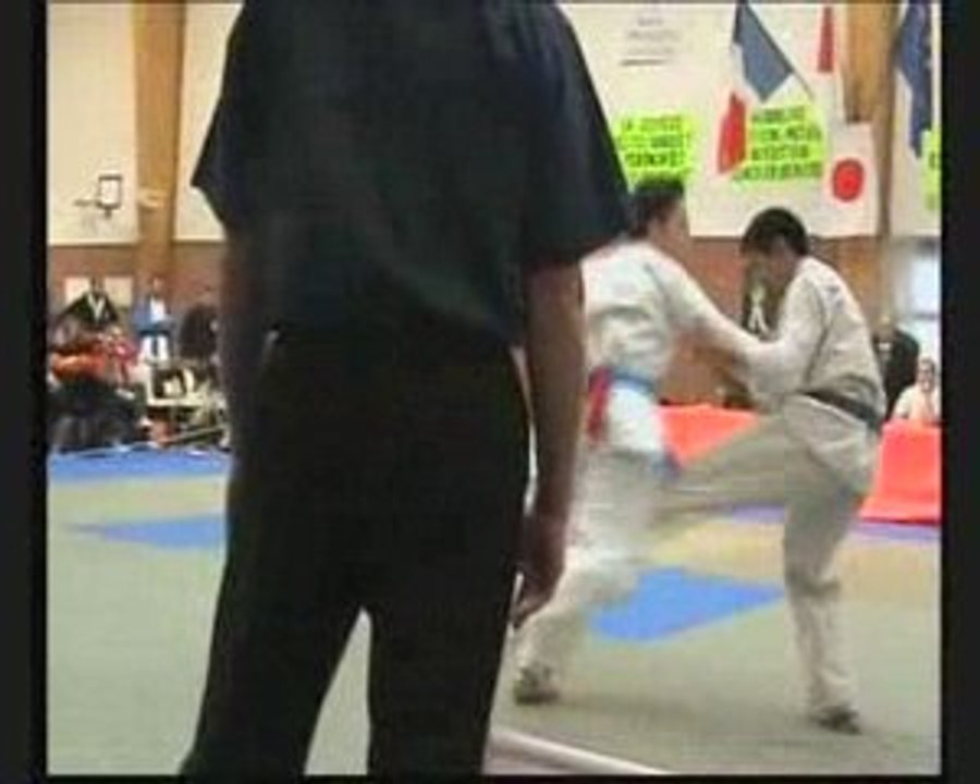 First step in kyokushin