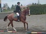 Nico passe son dressage (galop 6)