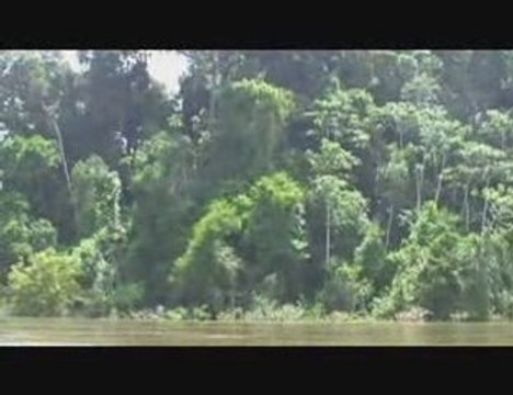 REMONTEE DU FLEUVE MARONI