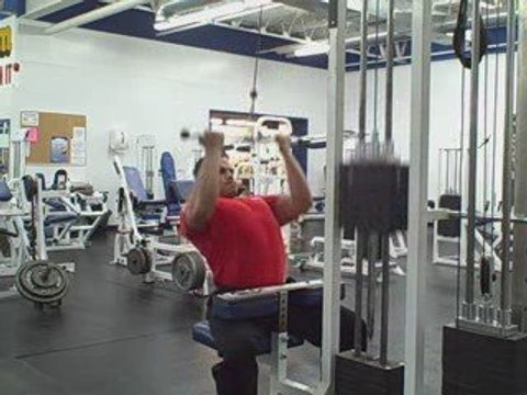 Bent Over Reverse Grip EZ Barbell Rows