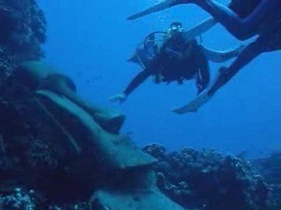 Plongée rapa nui moai