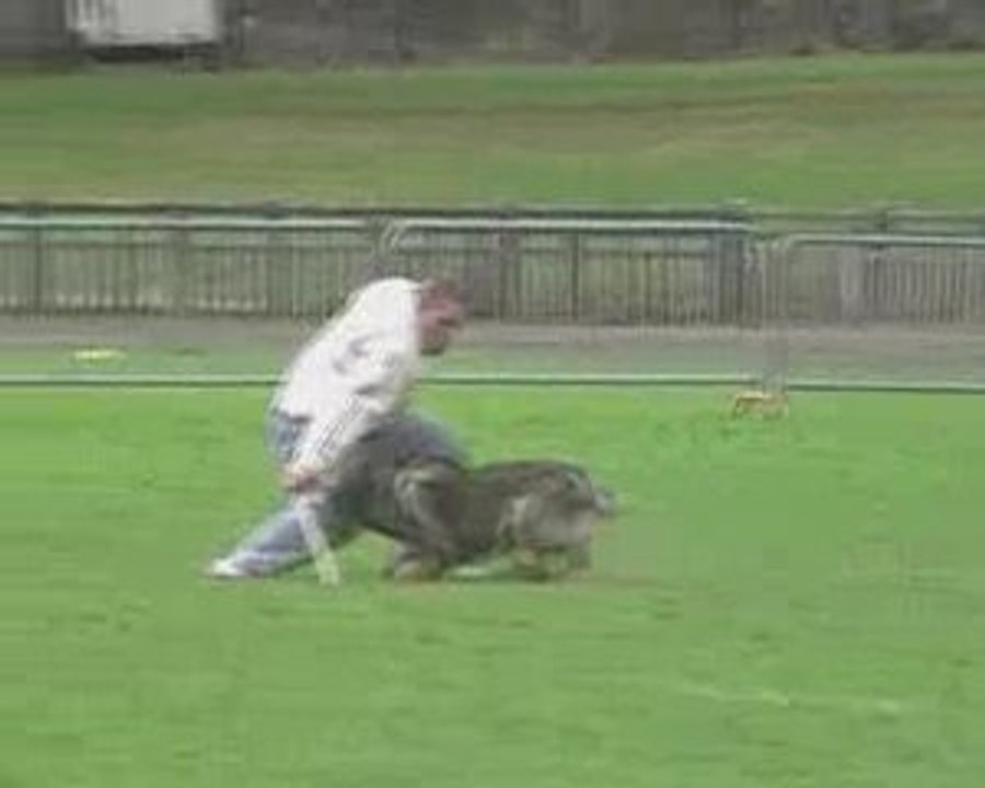 Gr1 1er sélectif Rogeville 2009 Ulko attaque arrêtée