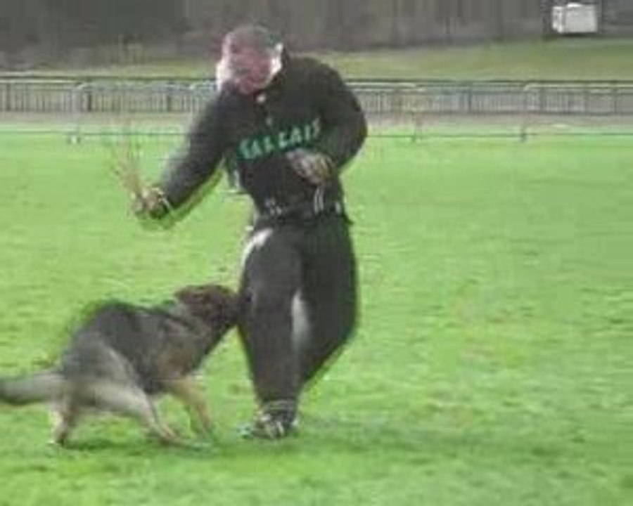 Gr1 1er sélectif Rogeville 2009 Ulko fuyante