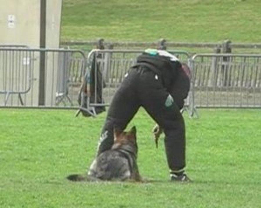 Gr1 1er sélectif Rogeville 2009 Ulko garde au ferme