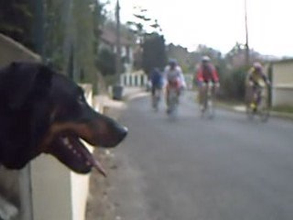 course cycliste 2009 LA 77 Sud dernière partie