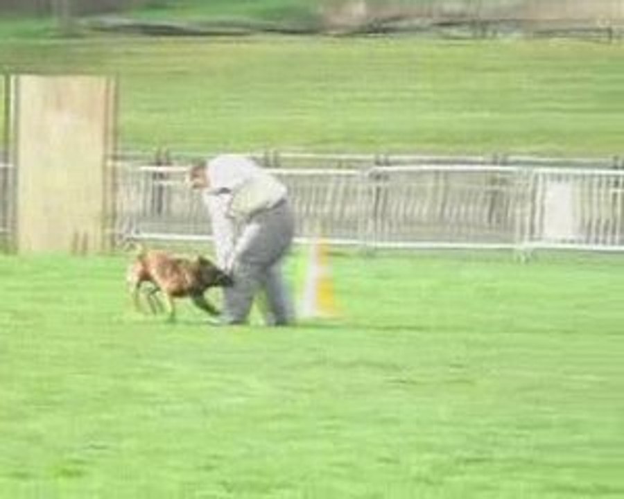 Gr1 1er sélectif Rogeville 2009 face