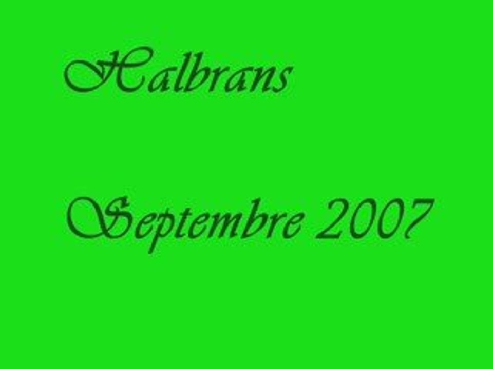 Halbrans