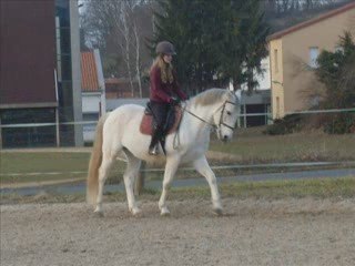 Tout est dit dans le montage ...