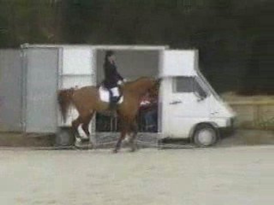 Loulou am2 P dardilly 12.04