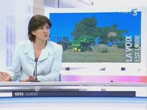 Elections Européennes Ouest S. GOULARD FR3Ouest 11-04-09 2/2