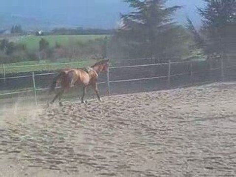 Pole position saut en longe 1m30