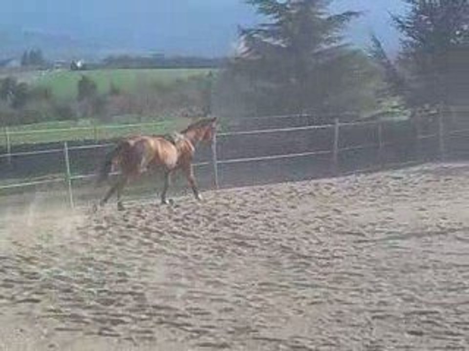 Pole position saut en longe 1m30