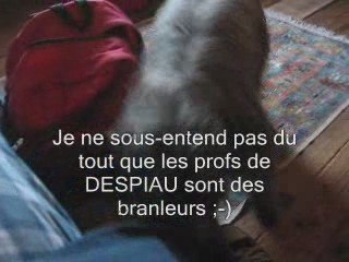 Montage ptite soeur